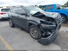 2021 Jeep Cherokee Trailhawk 4x4 Серый vin: 1C4PJMBXXMD191180