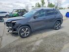 2019 Jeep Cherokee Limited Gray vin: 1C4PJMDN5KD158936