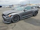 2016 Ford Mustang Gray vin: 1FA6P8AM2G5280951