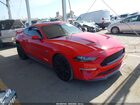 2019 Ford Mustang Gt Premium Red vin: 1FA6P8CF8K5159218