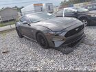 2019 Ford Mustang Gt Premium Gray vin: 1FA6P8CF9K5197301