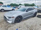 2019 Ford Mustang Gray vin: 1FA6P8TH2N5109016