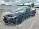 2017 Ford Mustang Black vin: 1FA6P8TH3H5306409