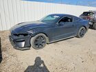 2019 Ford Mustang Black vin: 1FA6P8TH3K5122319