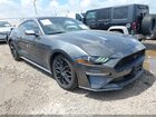 2019 Ford Mustang Ecoboost Gray vin: 1FA6P8TH3K5134177