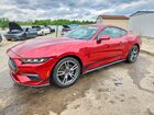 2024 Ford Mustang Красный vin: 1FA6P8TH3R5108866