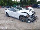 2019 Ford Mustang   White vin: 1FA6P8TH4K5151697