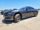 2024 Ford Mustang Black vin: 1FA6P8TH5R5141254