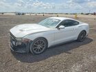 2018 Ford Mustang White vin: 1FA6P8TH6J5179189