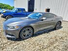 2017 Ford Mustang Gray vin: 1FA6P8TH8H5295679