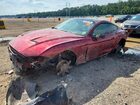 2019 Ford Mustang Red vin: 1FA6P8TH8K5129363