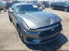 2024 Ford Mustang Ecoboost Fastback Gray vin: 1FA6P8TH8R5126117