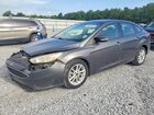 2017 Ford Focus Se Gray vin: 1FADP3F21HL241735