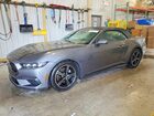 2025 Ford Mustang Gray vin: 1FAGP8UH6S5105355
