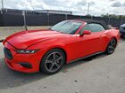 2025 Ford Mustang Red vin: 1FAGP8UH7S5111360