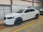 1FAHP2MK7KG101445