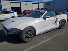 2020 Ford Mustang White vin: 1FATP8UH0L5136584