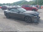 2019 Ford Mustang Ecoboost Premium Black vin: 1FATP8UH1K5104774