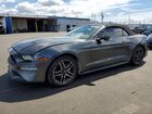 2019 Ford Mustang Серый vin: 1FATP8UH1K5135698