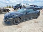 2020 Ford Mustang Black vin: 1FATP8UH6L5185949