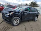 2025 Ford Escape Active Black vin: 1FMCU9GN9SUB68377