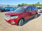 2019 Ford Escape Sel Красный vin: 1FMCU9HD8KUB25302