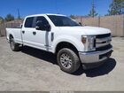 2019 Ford F-250 King Ranch/lariat/limited/platinum/xl/xlt White vin: 1FT7W2BT9KED84558