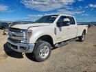 2018 Ford F350 Super Duty Beige vin: 1FT8W3BT4JEB97009