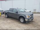 2019 Ford F-150 Xlt Gray vin: 1FTEW1C54KKD74782