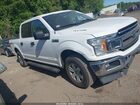 2019 Ford F-150 Xlt White vin: 1FTEW1E41KFA82276