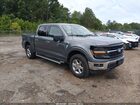 2025 Ford F-150 Xlt Gray vin: 1FTEW3LP1SKE06195