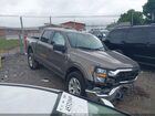 2023 Ford F-150 Xlt Brown vin: 1FTFW1E86PFB69430