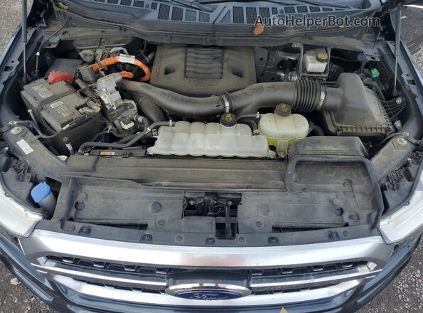 1FTFW1EDXMFA67069 2021 FORD F150 Угольный Вид задней части салона