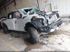 2025 Ford F-150 Raptor Gray vin: 1FTFW1RG0SFC60011