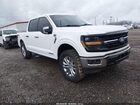 2024 Ford F-150 Xlt White vin: 1FTFW3LD0RFA09686