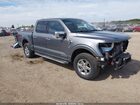 2024 Ford F-150 Xlt Gray vin: 1FTFW3LD7RFA48212
