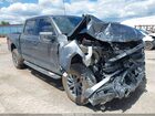 2025 Ford F-150 Tremor Gray vin: 1FTFW4L54SFC48436