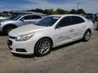 1G11C5SA9GF114481