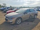 2023 Chevrolet Malibu Ls Beige vin: 1G1ZB5ST8PF183492