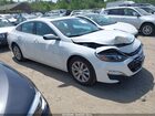 2024 Chevrolet Malibu Fwd 1lt White vin: 1G1ZD5ST9RF229991