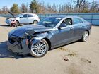 2020 Cadillac Ct4 Premium Luxury Black vin: 1G6DF5RK9L0143294