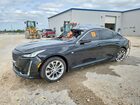 2023 Cadillac Ct5 Premium Luxury Black vin: 1G6DN5RK0P0133410