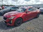 2023 Cadillac Ct5 Sport Burgundy vin: 1G6DP5RK9P0126661