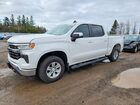 1GCPDDEK8PZ172657