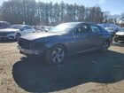 2019 Honda Accord Exl Gray vin: 1HGCV2F56KA014383