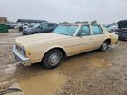 1979 Chevrolet Impala Кремовый vin: 1L69G9C173255