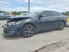 2017 Nissan Maxima Platinum Black vin: 1N4AA6AP0HC428425