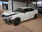 2016 Nissan Maxima S Белый vin: 1N4AA6AP3GC427266