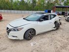 2016 Nissan Maxima Platinum White vin: 1N4AA6AP4GC375999
