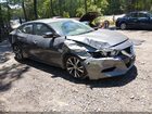 2017 Nissan Maxima 3.5 Sv Gray vin: 1N4AA6APXHC428769